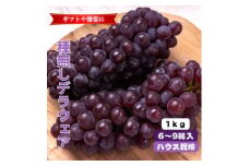 山梨市産ハウスデラウェア  1kg (6～9房)【1576850】