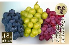 山梨直送!ぶどう3色(黒・緑・赤)食べ比べセット 3～4房(計1.8kg以上)【1579254】
