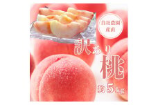 ＜訳あり＞完熟収穫桃 約5kg 山梨県産 自社農園産直!【1579475】