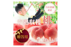 ＜贈答用＞完熟収穫桃 約1kg 山梨県産 自社農園産直!【1580902】