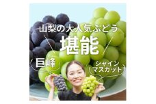 ＜発送月固定定期便＞生産量日本一の山梨から巨峰とシャインマスカットをお届けする定期便全2回【4063181】