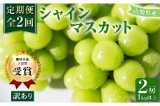 ＜発送月固定定期便＞＜訳アリ＞山梨のシャインマスカット2房1kg以上全2回【4063709】