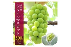 山梨市 シャインマスカット 1房(500g以上) クール便でお届け_ シャインマスカット 山梨 ぶとう マスカット ブドウ 葡萄 果物 くだもの フルーツ 化粧箱 デザート 産地直送 産直 贈答 ギフト プレゼント 送料無料 【1176566】