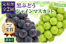 ＜発送月固定定期便＞＜訳アリ＞山梨の黒ぶどうとシャインマスカット全2回【4063715】