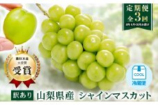 ＜発送月固定定期便＞＜訳アリ＞山梨のシャインマスカット2房1kg以上全3回【4064508】