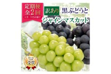 ＜発送月固定定期便＞＜訳アリ＞山梨の黒ぶどうとシャインマスカット全2回【4064509】