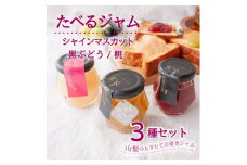 山梨県産シャインマスカット ・桃・ 黒ぶどう ジャム＜80g×3本＞化粧箱入りなので贈答やギフトに。【1596302】
