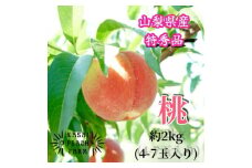 厳選朝採り桃 山梨の笠井桃園の桃 約2kg【1587429】