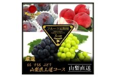 ＜発送月固定定期便＞フルーツ定期便全3回【4066756】