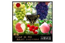 ＜発送月固定定期便＞フルーツ定期便全5回【4066763】