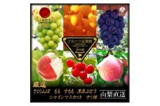 ＜発送月固定定期便＞フルーツ定期便全6回【4066764】