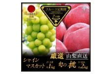 ＜発送月固定定期便＞フルーツ定期便全2回【4066752】