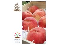 数量限定!＜高級桃桐箱入り＞5～6玉入り　山梨市産地直送　約2kg箱【1178164】