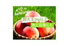 晩生品種3～6玉入り農家直送　2kg以上【1178180】
