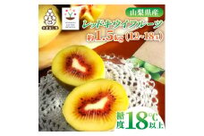 レッドキウイフルーツ化粧箱入り　産地直送約1.5kg(12～18玉)【1178165】