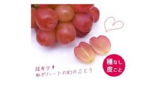 ＜2025年9月上旬より発送予定＞マイハート1房 500g以上 ハート形のかわいい葡萄【1613666】