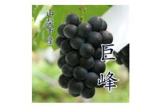『数量限定』山梨市産種無し巨峰2房入　約1kg【1622448】