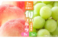 ＜発送月固定定期便＞桃3玉(1kg)　シャインマスカット1房(500g以上)全2回【4067604】