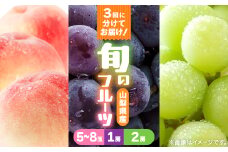 ＜発送月固定定期便＞桃2kg(5～8玉)　黒ぶどう1房　シャインマスカット2房1kg以上全3回【4067606】