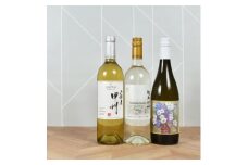 山梨伝統品種「甲州」白ワイン3本セット　山梨ワイン 飲み比べ【1627279】