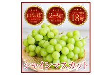 ＜2025年発送＞山梨県山梨市牧丘 人気のシャインマスカット 2～3房(約1kg)【1635880】