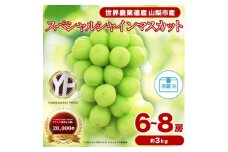 フルーツ王国山梨産厳選 シャインマスカット 6～8房(約3kg) 約1.5kg×2箱【1632337】
