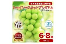 フルーツ王国山梨産 厳選 シャインマスカット 6～8房(約4kg) 2kg×2箱【1632338】