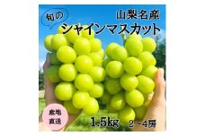 ◆先行受付◆産地直送 山梨名産!旬のシャインマスカット 2～4房(計1.5kg)【1640710】