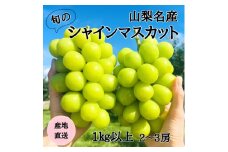 ◆先行受付◆産地直送　山梨名産!旬のシャインマスカット　2～3房(計1kg以上)【1640021】