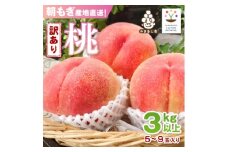 ＜訳あり品＞ご家庭桃・朝もぎ産地直送・3kg以上【1178167】