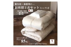＜新生活・来客用に…＞お布団3点セット シングル(羽毛掛け布団・敷き布団・枕)【1178551】