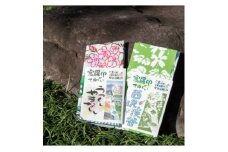 ぐらいん手ぬぐい「うつくし山梨市・新緑の西沢渓谷」計2枚【1647032】