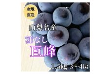 ◆先行受付◆産地直送 山梨名産!種なし巨峰 3～4房(計1.5kg)【1644827】