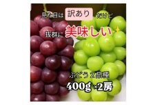 ＜訳あり＞葡萄2色入り化粧箱入り　山梨市産地直送　約400g×2房【1178185】