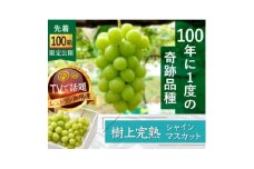 ＜海外ミシュラン御用達＞先着100箱限定『樹上完熟シャインマスカット』5年連続メディア出演小野桃園【1659950】