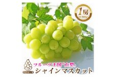 2026年発送　シャインマスカット1房(約500g)【1666979】