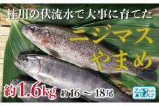 山梨県産　桂川の冷凍やまめ・ニジマスセット　計:約1.6kg(約16～18尾)