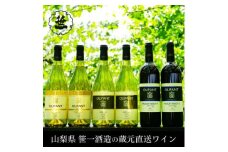 【蔵元直送】笹一酒造・OLIFANT(オリファン)ワイン 750ml×6本セット