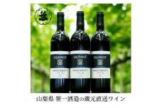 【蔵元直送】笹一酒造のOLIFANT(オリファン)ワイン＜赤＞3本セット