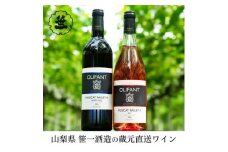 【蔵元直送】笹一酒造のOLIFANT(オリファン)ワイン＜赤・ロゼ＞飲み比べ2本セット