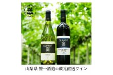 【蔵元直送】笹一酒造のOLIFANT(オリファン)ワイン＜甲州・MBA＞2本セット