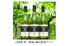 【蔵元直送】笹一酒造のOLIFANT(オリファン)ワイン＜白＞甲州3本セット