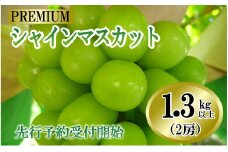【2025収穫分先行予約】山梨県産大粒で甘さ抜群プレミアムなシャインマスカット2房で1.3kg以上