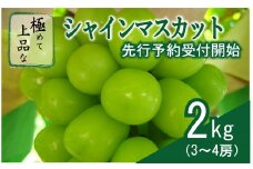 【2025収穫分先行受付】シャインマスカット 2kg 3 ～ 4房 ＼山梨県大月市 800年の伝統／ 特選 おすすめ 人気 先行受付 予約 ギフト 産地直送 ぶどう 葡萄 果物 フルーツ くだもの シャイン マスカット お届け 贈答 感動ファーム