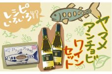 笹一酒造OLIFANT甲州シュール・リー2本&こすげ村源流工房ヤマメのアンチョビ1パックセット【017-002】