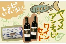 笹一酒造OLIFANTマスカット・ベリーA樽熟成2本&こすげ村源流工房ヤマメのアンチョビ1パックセット【017-004】