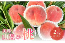 【2025年7月より順次発送】山梨県産 桃 朝採れ 2kg 6 ～ 8 玉 日本一 産地 特産品 旬 完熟 お中元 贈り物 贈呈用 ギフト 果物 フルーツ くだもの ピーチ 産地直送 送料無料 さんちゃんファーム