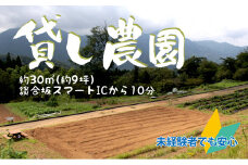 自分で野菜を作り収穫できる貸し農園【019-003】