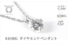 VS 0.1CT ダイヤモンド　ペンダント　Ｐ495DI-2【053-009】
