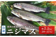 山梨県産　桂川の冷凍ニジマス　計:約2.2kg(約20～22尾)